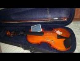 Violin