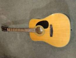 Cort Accoustic guitar pro