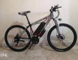 Electric bike