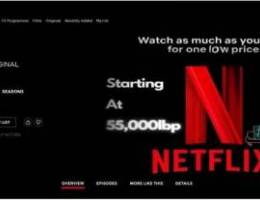 Netiflix subscription