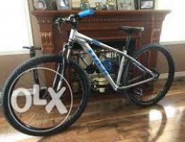 TREK Bikes for rent weekly Ù„Ù„Ø§ÙŠØ¬Ø§Ø±