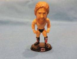 WWE Daniel Bryan Bobblehead