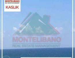 Catchy Apartment for sale in Kaslik!