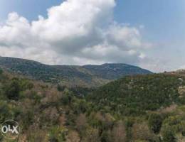 Land for Sale in Lehfed