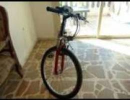 bicyclette 24 inch