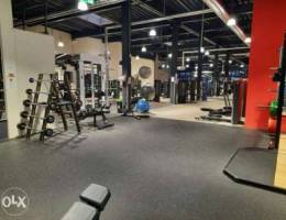 Gym Equipments * All Sports