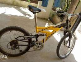 Bicyclet for 10->13 yeara