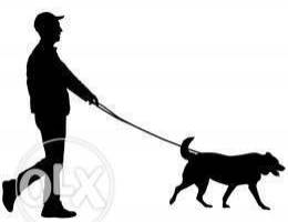 Dog walker