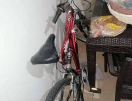 2 bicycle for sale used