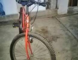 Bicycle for sale