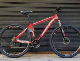 New Smarter ( 2021 )MTB 29" L /XL frame fu...