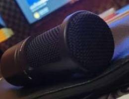 Audio-TechnicaÂ AT2020 Condenser Microphone
