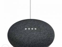 mini google home