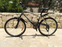 Mountain bicycle for sale