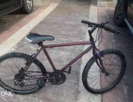 Bicycle 24 inch