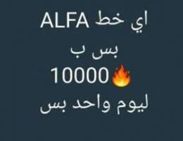 اي رقم ALFA ب 10000 العرض ليوم واحد